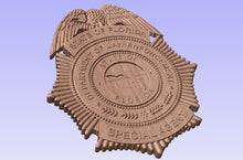 Load image into Gallery viewer, Florida Department of Law Enforcement Badge FDLE