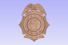 Load image into Gallery viewer, Florida Department of Law Enforcement Badge FDLE