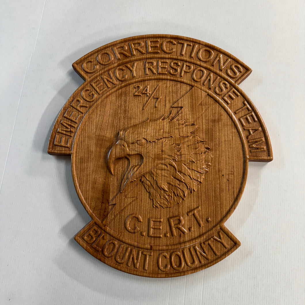 Blount County Tennessee Sheriff's Department Corrections CERT Plaque