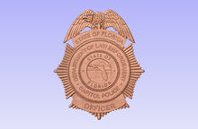 Load image into Gallery viewer, Florida Department of Law Enforcement Badge FDLE, Capitol Police Version
