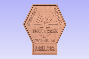 Tennessee State EMT Patch Plaque