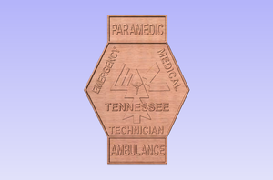 Tennessee State Paramedic Patch Plaque
