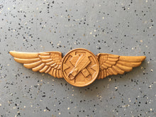 Load image into Gallery viewer, Coast Guard Rescue Swimmer Breast Insignia Device
