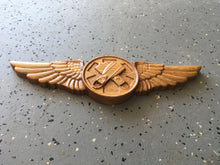Load image into Gallery viewer, Coast Guard Rescue Swimmer Breast Insignia Device
