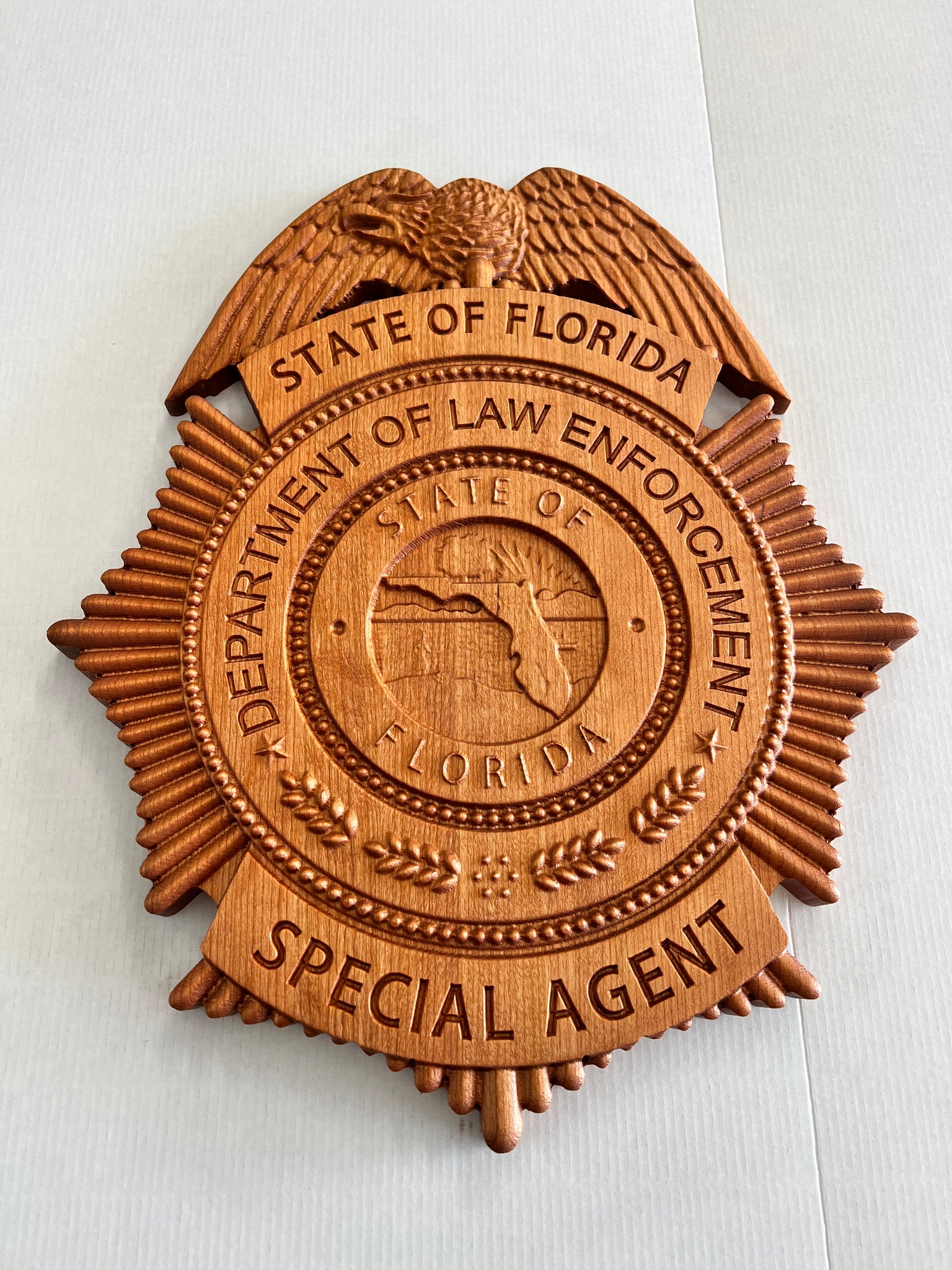 Florida Department of Law Enforcement Badge FDLE – With The Grain ...