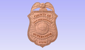 American Medical Response AMR EMS Badge (San Bernardino County)
