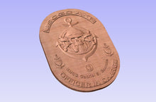 Load image into Gallery viewer, Commanding Officer, Officer in Charge Skull Plaque
