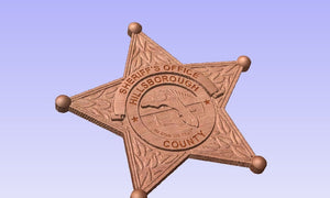Hillsborough County Florida Sheriff Department Badge.